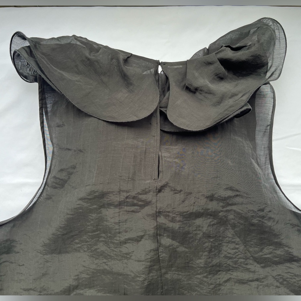 H&M | Sheer Ruffle Sleeveless Top - Picture 10 of 16